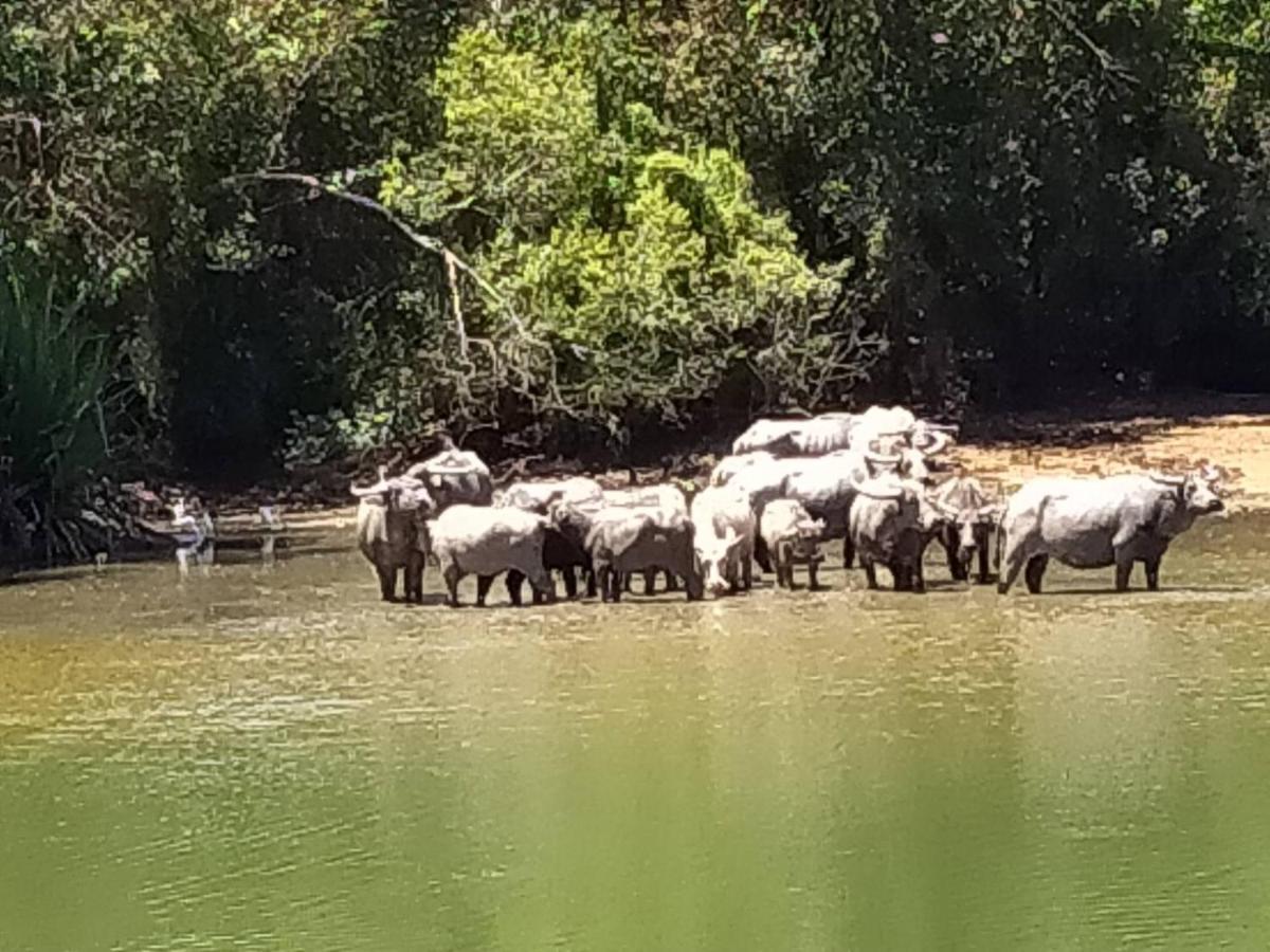 Khum Thong Resort Takuapa 外观 照片