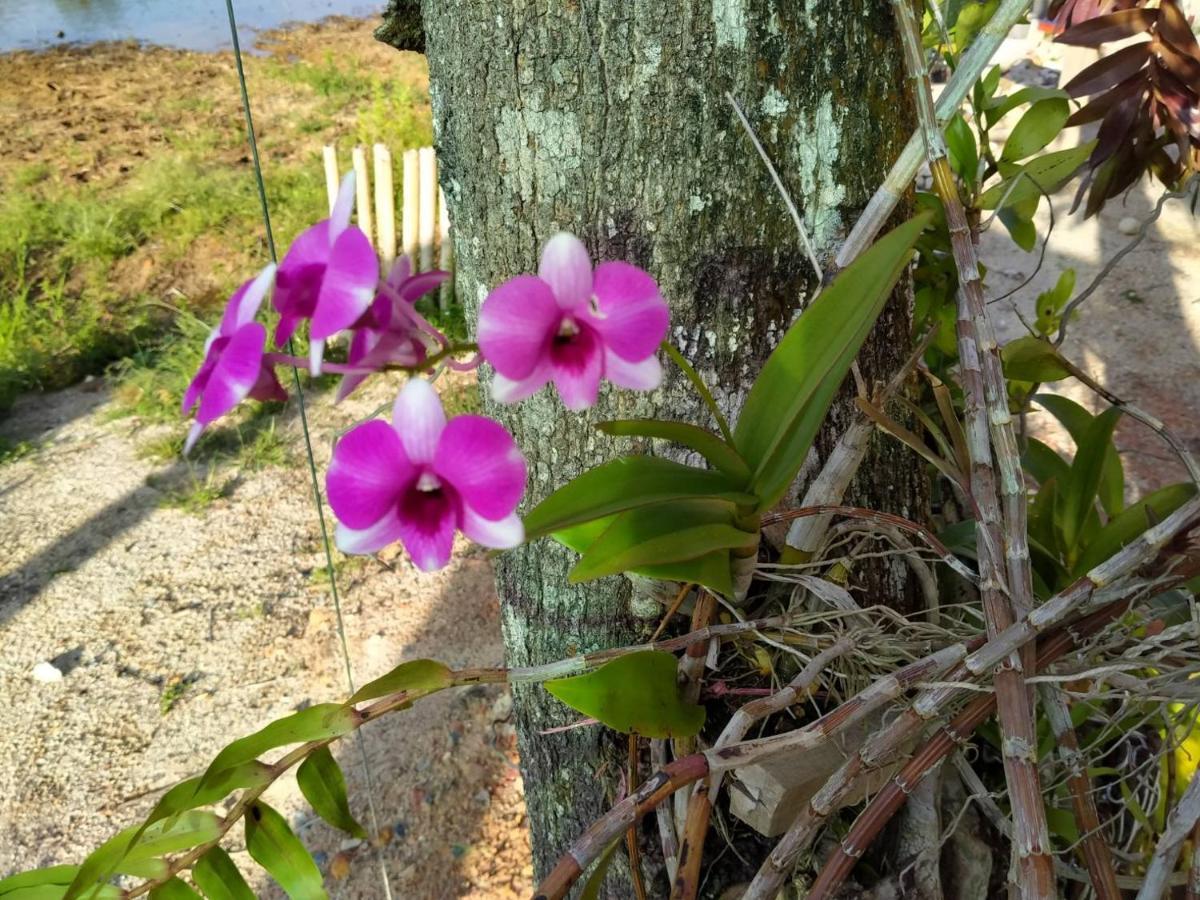 Khum Thong Resort Takuapa 外观 照片